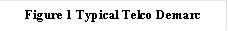 Figure 30 Typical Telco Demarc